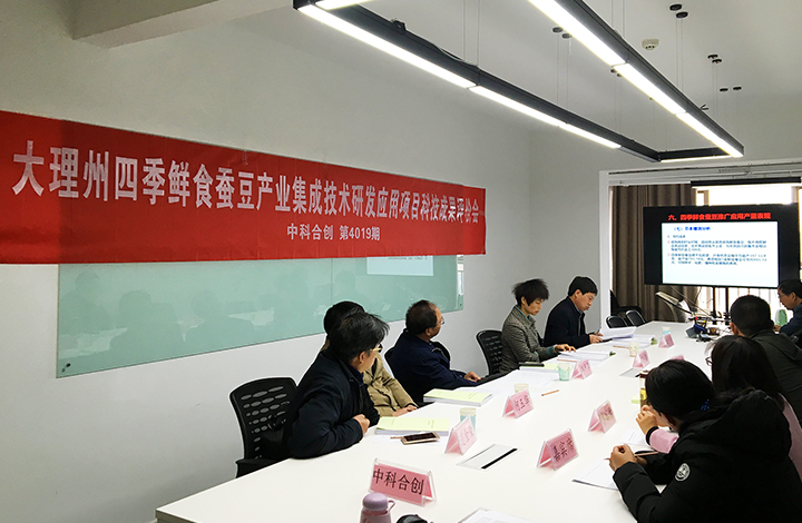 大理州四季鲜食蚕豆产业集成技术研发应用 anli.jpg